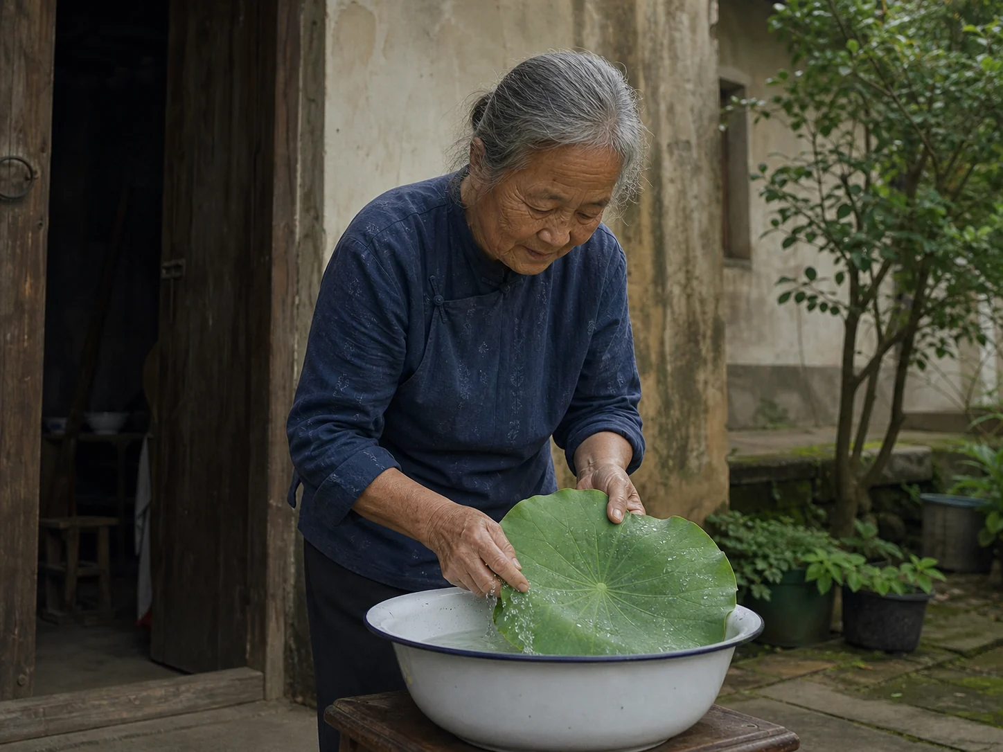 An older woman rinsing a broad fresh lotus leaf in a white enamel basin in a courtyard